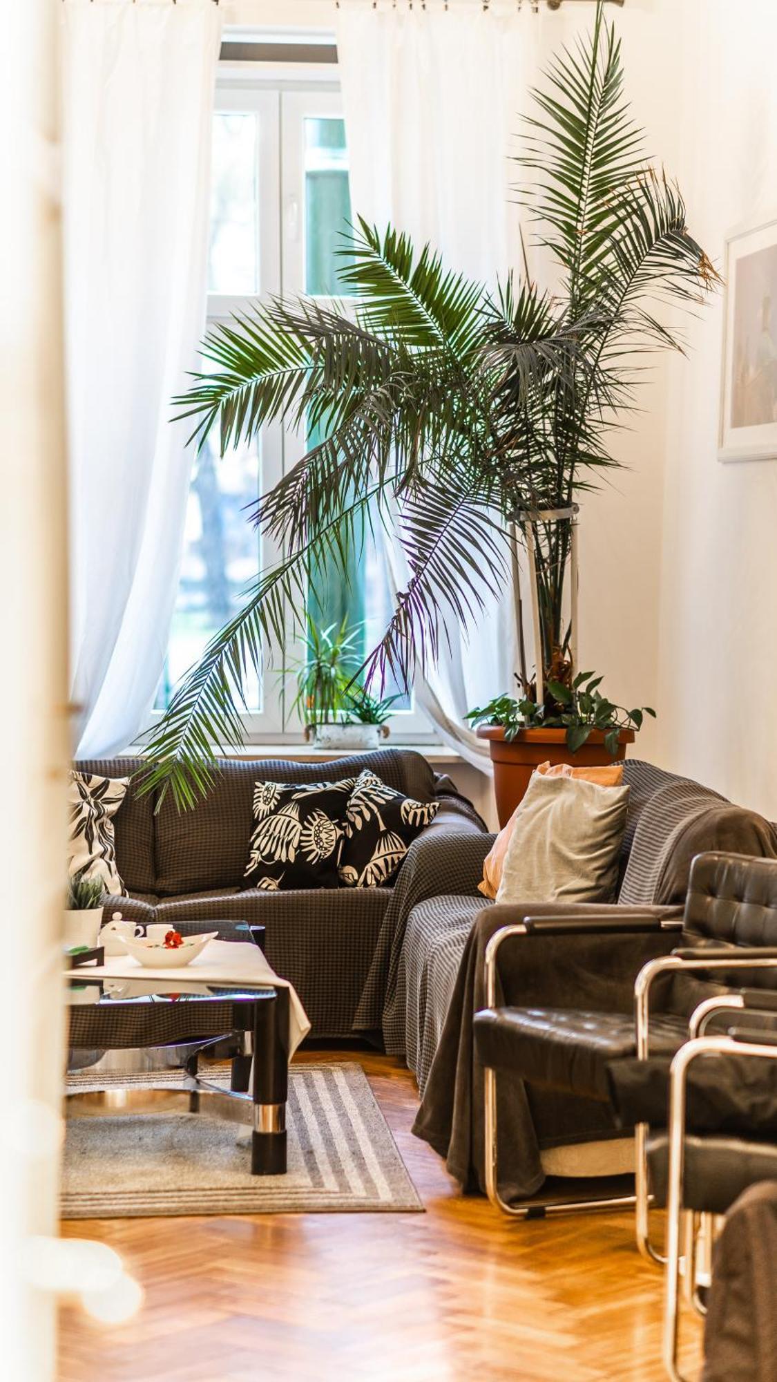 Fogra Travel Apartment Krakow Luaran gambar